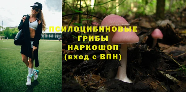 первитин Армянск